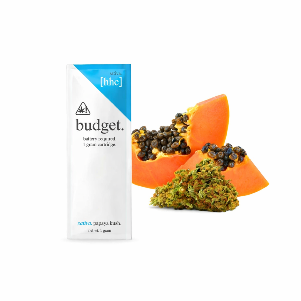 Budget | Cartucho de Desechable HHC 1000 mg | 1 ml