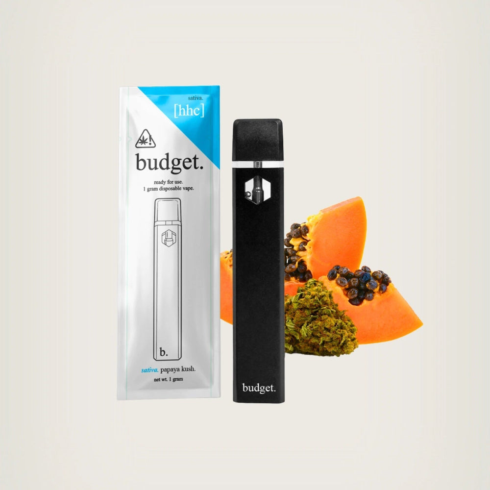 Budget | Vape Desechable HHC 1000 mg | 1 ml | Pluma de Wax