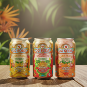 Habit | Bebidas Delta 9 THC 100 mg/pza | 355 ml | 1 pieza