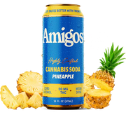 Amigos | Bebidas Delta 9 THC 50 mg/pza | 473 ml | 1 pieza