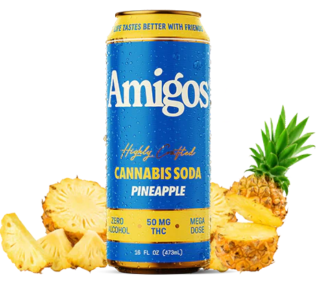 Amigos | Bebidas Delta 9 THC 50 mg/pza | 473 ml | 1 pieza