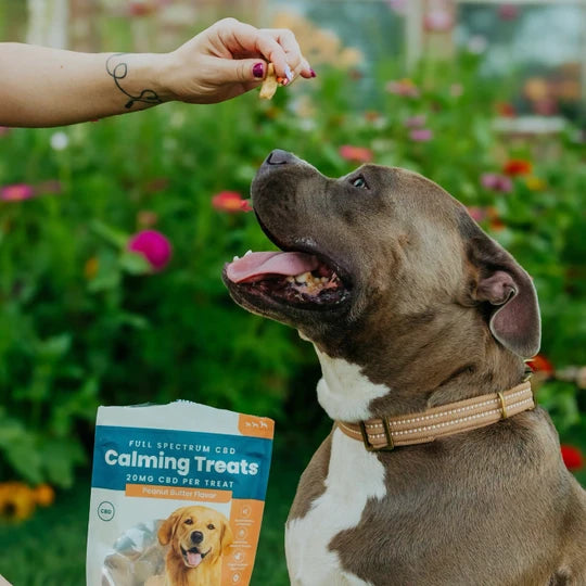 Hometown Hero | Premios calmantes para perro 20mg CBD/ pieza