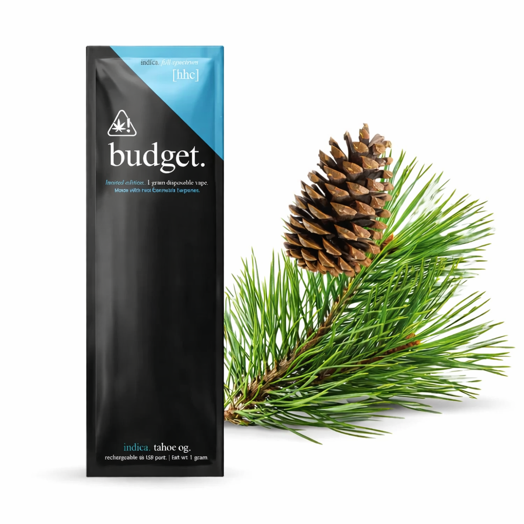 Budget | Pluma de Wax Desechable Edición Limitada HHC 1000 mg | 1 ml (Envío solo CDMX & Z. Metro)