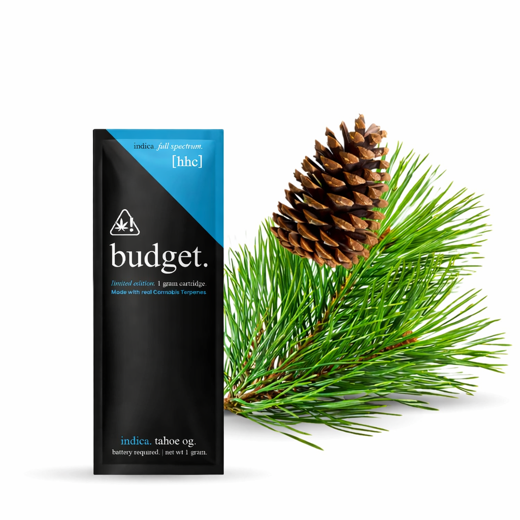Budget | Cartucho de Desechable Edición Limitada HHC 1000 mg | 1 ml